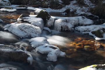 campo y nieve