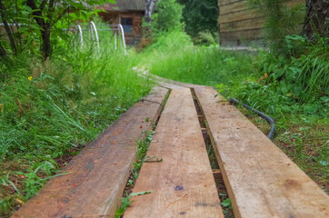 Obraz premium wooden bridge in the forest
