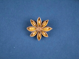 Star anise on a dark blue background