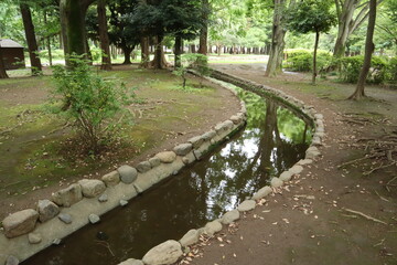 ゆるやかな小川