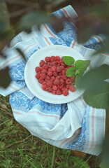 Raspberries on a plate in the garden, rustic style