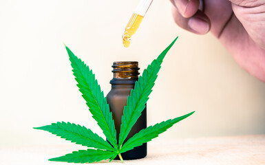 Cannabis oil extract in bottle to soothe pains, Hand dropping CBD oil from pipette to the bottle