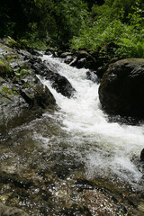 Fototapeta premium Forest waterfalls in Austria, Carinthia region. Tourist route over Lake Feld am See. Mountain health trail. Mountain route. Waterfalls in the forest.