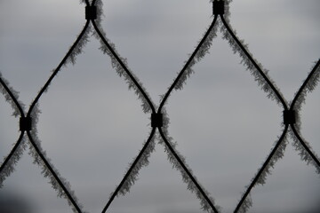 Gitter, Netz, Rauhreif, mit blaugrauem Hintergrund - Himmel
