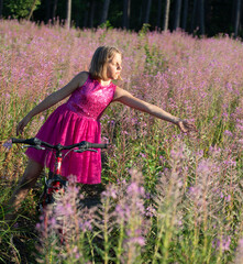 happy girl in a purple dress collects a medicinal fireweed flower, in a fireweed glade on an...