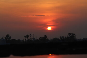sunset over the field