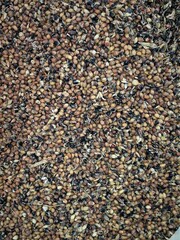 fertilizer for a crops