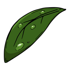 Flower of leaves with drops icon, logo. Vector illustration of a pattern of leaves. Hand drawn leaves with drops of water