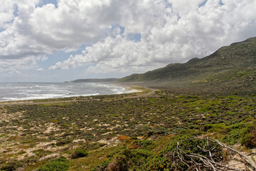 Wild South African ocean coastline with rural waves, green nature, flowers and vegetation and white cloudy sky at Cape of Good Hoop, South Africa.