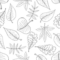 Leaves seamless pattern. Autumn, spring leaves. Vector of a seamless pattern of leaves.