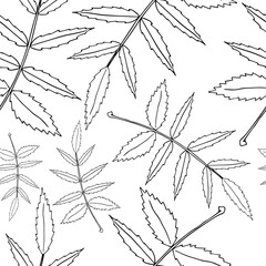 Set leaves seamless pattern. Autumn, spring leaves. Vector illustration of a seamless pattern of set leaves. Hand drawn set of leaves.