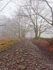 Down the foggy lane near Cromford, Derbyshire