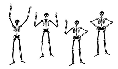 set of standing human skeletons with hands in different poses. isolated vector illustration on white background