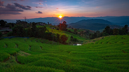 Fototapeta premium Beautiful landscape. Paddy fields at Pa Pong Pieng village, Mae Chaem, Chiang Mai, Thailand.