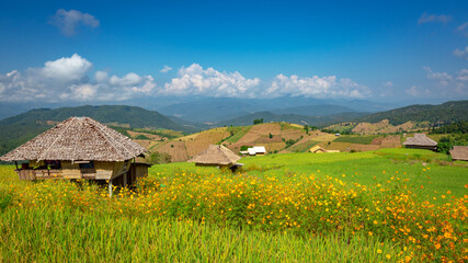 Fototapeta na wymiar Beautiful landscape. Paddy fields at Pa Pong Pieng village, Mae Chaem, Chiang Mai, Thailand.