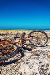 Old pink bicycle on ocean coast with blue sky