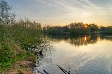 A spring sunrise filtered through tall trees at the side of still a lake