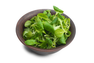 Mash salad in ceramic brown bowl isolated on white.