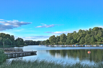 Fototapeta premium lake and forest