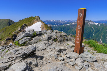 谷川岳（トマの耳）の山頂標識