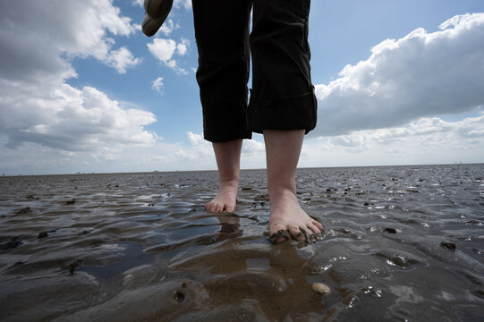 nackte F&uuml;&szlig;e im Wattenmeer