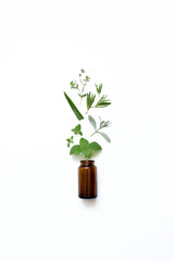 Fototapeta na wymiar Bottle with oil of herbs aloe, rosemary, thyme, mint, Melissa, sage on a white background.