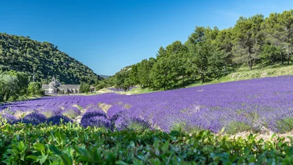 Foto op Canvas Abbaye de Senanque dans le Luberon et champs de lavande © Bernard