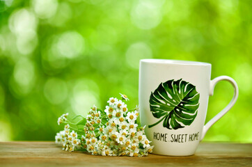 White ceramic cup with achillea salicifolia flowering plant on a green bokeh background.