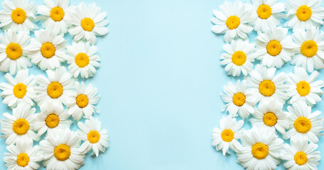 Blue background with chamomiles frame. Spring, summer concept.
Flat lay with copy space. Flowers composition.