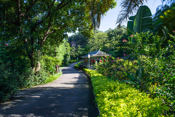 Hiking Trail in Lianhuashan Park, Panyu, Guangzhou, China