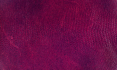 Genuine leather texture  lilac rose color. Leather surface. Close up. Copy space.