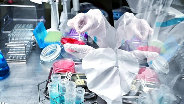 細胞培養シャーレを手にする防護服を着た研究員