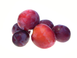 Obraz premium red plum isolated on white background