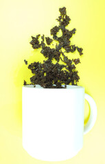 used tea leaves and inverted cup