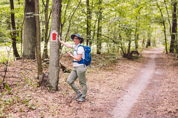 Hiking marked trail in the forest. Marking the tourist route painted on the tree. Touristic route sign. Travel route sign. Tourist hiker with backpack navigation uses smart phone