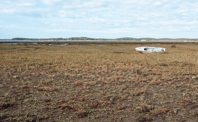marée basse du bassin arcachon