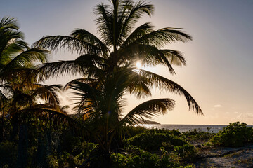 panorama dell'isola dei Caraibi di Anguilla