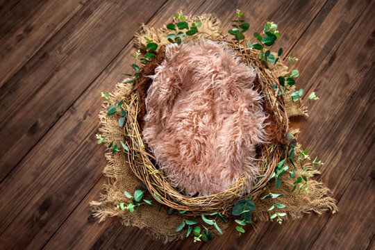 Newborn photography digital backdrop, bird's nest on natural wood and pink fur
