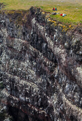 Latrabjarg bird cliffs, Westfjords, Iceland, Europe