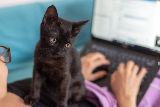Woman working on laptop from home. Busy people lifestyle.