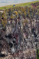 Latrabjarg bird cliffs, Westfjords, Iceland, Europe