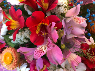 bouquet of colorful flowers