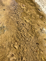 Pure water background