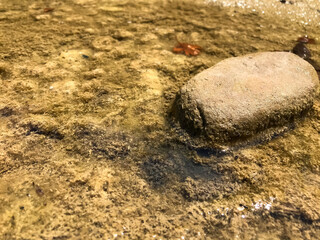 The river and the stone