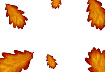 Watercolor frame with autumn leaves, autumn leaves wallpapers, illustrations for greeting cards, free space for lettering