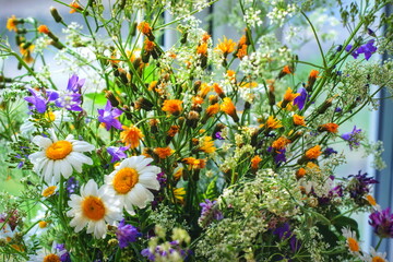 Assorted bouquet of forest and meadow flowers