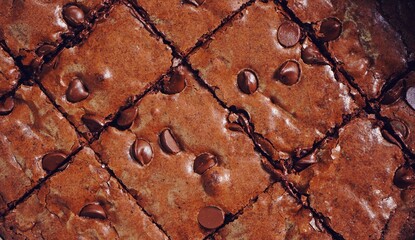 Homemade chewy fudge chocolate brownies, selective focus