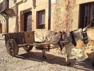 Fototapeten Esel Empty donkey cart alongside road   © marta
