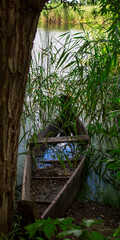 Old weathered boat moored in shallow lake water behind a tree and reeds