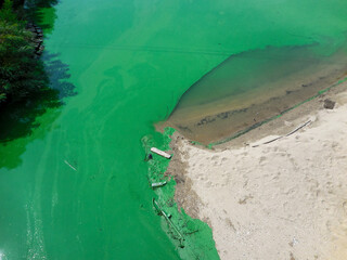 River contaminated with green algae